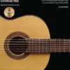 Hal Leonard Manuscript Flamenco Guitar Method Book And CD