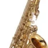 Crescendo Music J.Michael E♭ Alto Saxophone AAL780