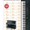 Crescendo Music Alfred Keyboard Chord Chart 1 Crescendo Music Alfred Keyboard Chord Chart
