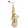 Crescendo Music Jupiter JAS1100SG Alto Saxophone In E♭